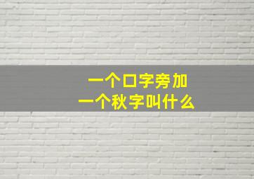 一个口字旁加一个秋字叫什么