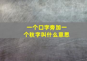 一个口字旁加一个秋字叫什么意思