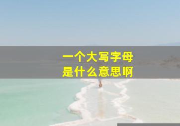 一个大写字母是什么意思啊