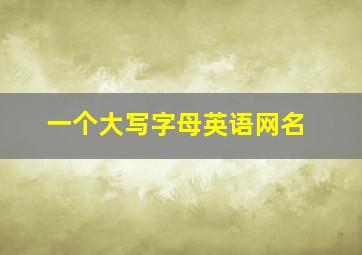 一个大写字母英语网名