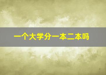 一个大学分一本二本吗