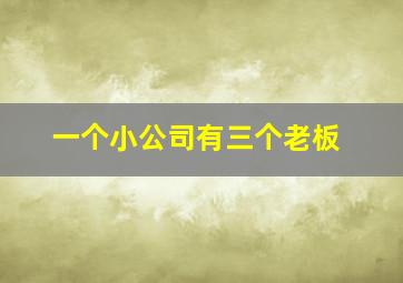 一个小公司有三个老板