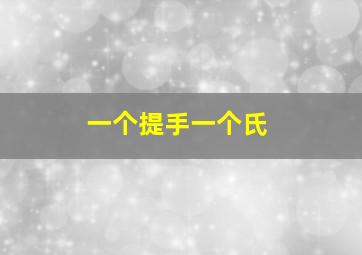 一个提手一个氏