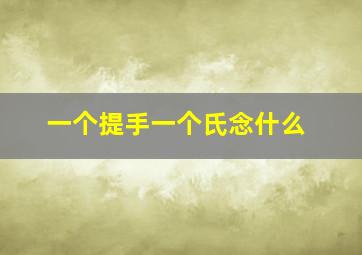 一个提手一个氏念什么