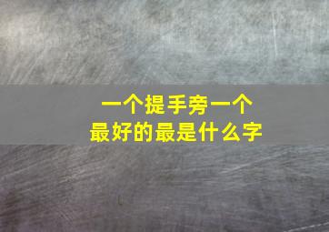 一个提手旁一个最好的最是什么字