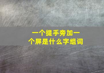 一个提手旁加一个屏是什么字组词