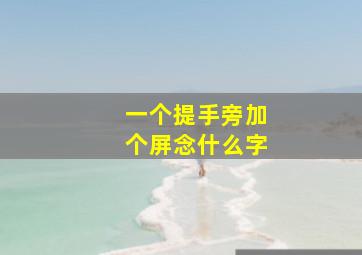 一个提手旁加个屏念什么字