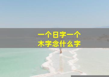 一个日字一个木字念什么字