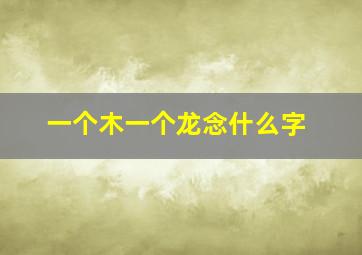 一个木一个龙念什么字