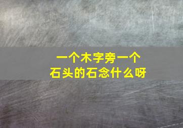 一个木字旁一个石头的石念什么呀