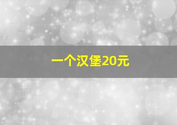 一个汉堡20元