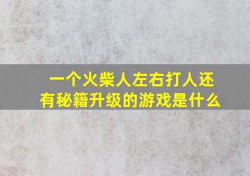 一个火柴人左右打人还有秘籍升级的游戏是什么