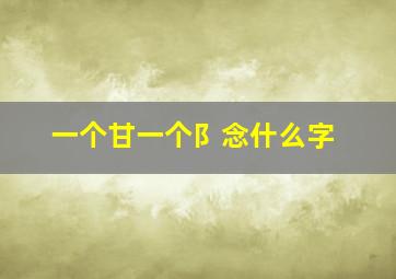 一个甘一个阝念什么字