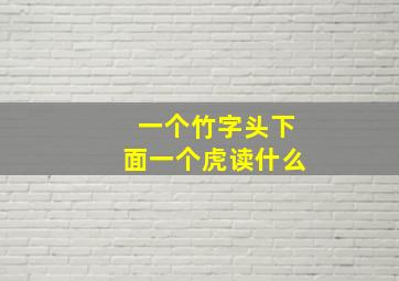 一个竹字头下面一个虎读什么