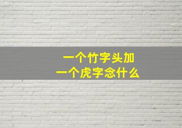 一个竹字头加一个虎字念什么