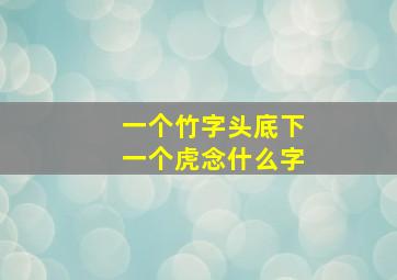 一个竹字头底下一个虎念什么字