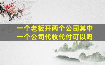 一个老板开两个公司其中一个公司代收代付可以吗