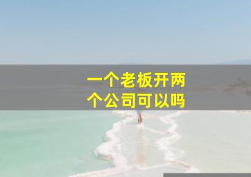 一个老板开两个公司可以吗