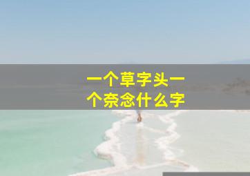 一个草字头一个奈念什么字