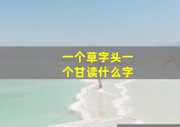 一个草字头一个甘读什么字