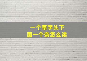 一个草字头下面一个奈怎么读