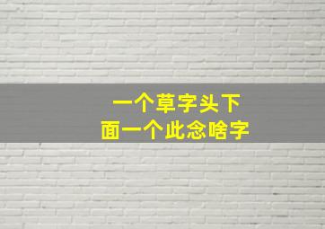 一个草字头下面一个此念啥字