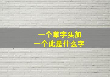 一个草字头加一个此是什么字