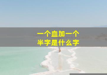 一个血加一个半字是什么字