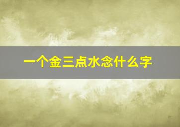 一个金三点水念什么字