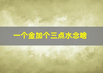 一个金加个三点水念啥