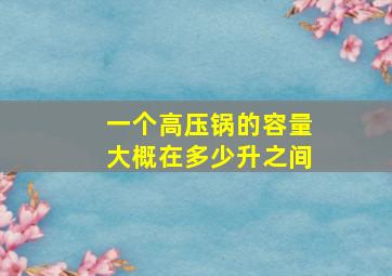 一个高压锅的容量大概在多少升之间