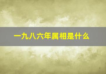 一九八六年属相是什么