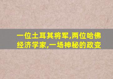 一位土耳其将军,两位哈佛经济学家,一场神秘的政变