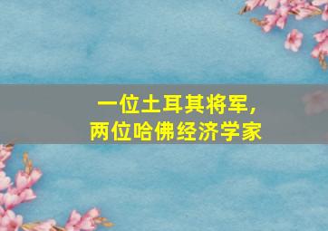 一位土耳其将军,两位哈佛经济学家