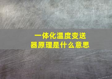 一体化温度变送器原理是什么意思