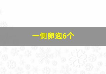 一侧卵泡6个