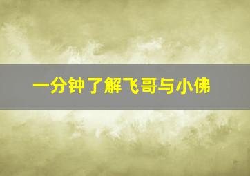 一分钟了解飞哥与小佛