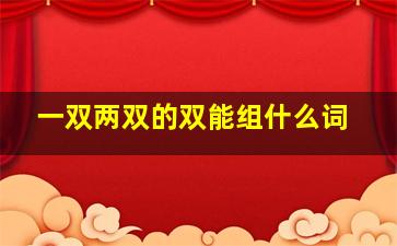 一双两双的双能组什么词