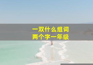 一双什么组词两个字一年级