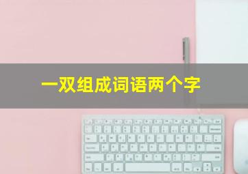 一双组成词语两个字