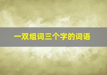 一双组词三个字的词语