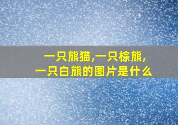 一只熊猫,一只棕熊,一只白熊的图片是什么