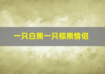 一只白熊一只棕熊情侣