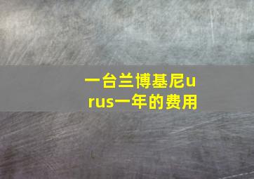 一台兰博基尼urus一年的费用