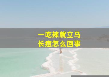 一吃辣就立马长痘怎么回事