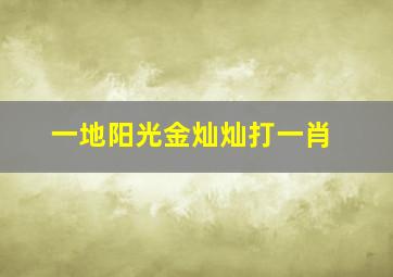 一地阳光金灿灿打一肖