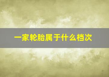 一家轮胎属于什么档次