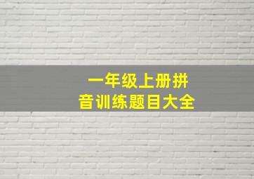 一年级上册拼音训练题目大全