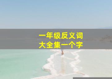 一年级反义词大全集一个字