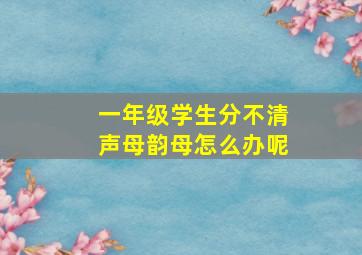 一年级学生分不清声母韵母怎么办呢